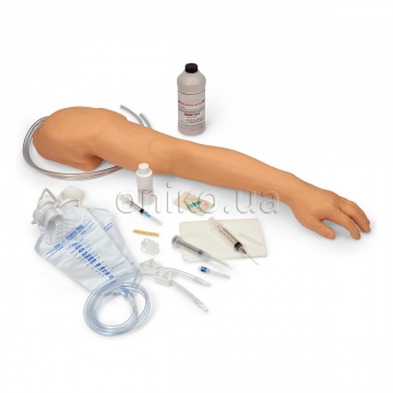 Advanced Venipuncture and Injection Arm