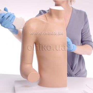 Тренажер внутрішньоглобних ін'єкцій під УЗК - плечовий суглоб