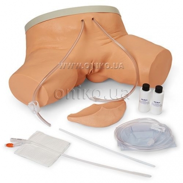 Female Catheterization Simulator
