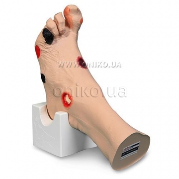 Модель ноги для лікування пролежнів