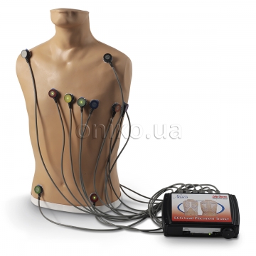 Simulátor pro umístění elektrod EKG
