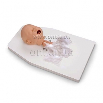 Model hlavy novorozence pro intubaci
