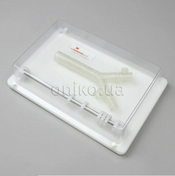 Trachea Trainer with Display Base