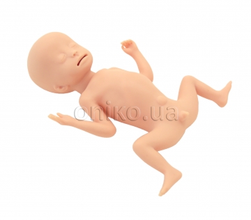 Тренажер новонародженої дитини з екстремально низькою масою тіла при народженні