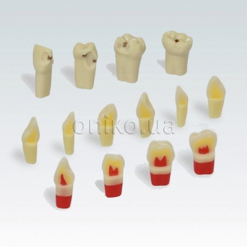 Специальные зубы AG-3