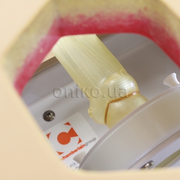 Kořen aorty, délka 5,08 cm, anulus 23 mm