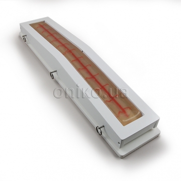 Průhledná vložka pro trenažér vena saphena magna