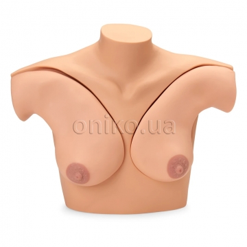 Breast Examination Skills Trainer Torso