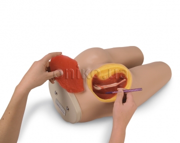 Simulátorový model pro intramuskulární injekce