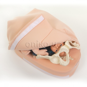 https://oniko.ua/images/services/services/78936-abdominal-palpation-model-set-media-02-small.jpg
