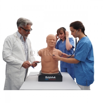 Auscultation Manikin IV