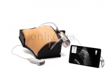 Ultrazvukový simulátor plic s COVID-19