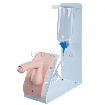 Basic Catheterization Trainer, Male