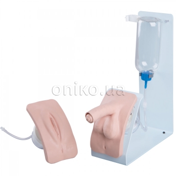 Catheterization Trainer Set, basic