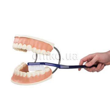 Модель догляду за зубами
