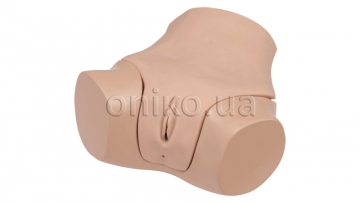 Gynecological Examination Simulator