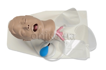 Model dospělé hlavy pro intubaci