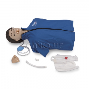 Basic Torso for CPR