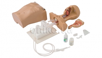 Tube Feeding Simulator