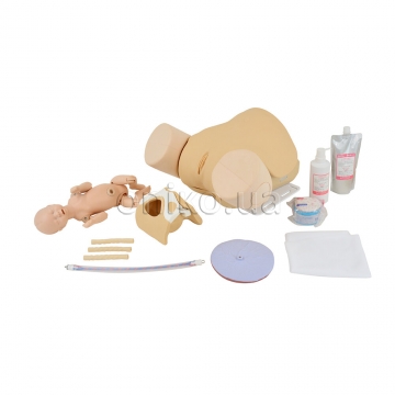Advanced Obstetrics and Birthing Simulator