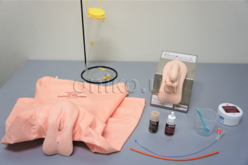 Тренажер для катетеризації та клізменних процедур у жінок/чоловіків