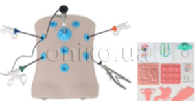 Laparoscopic Trainer with Educational Modules