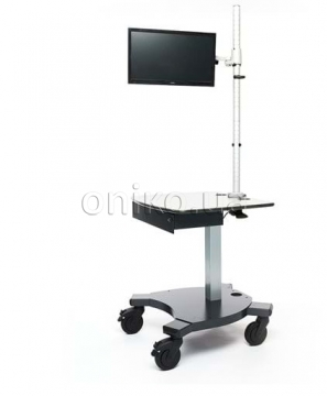 Mobile stand with monitor