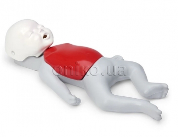 The Baby Buddy Manikin