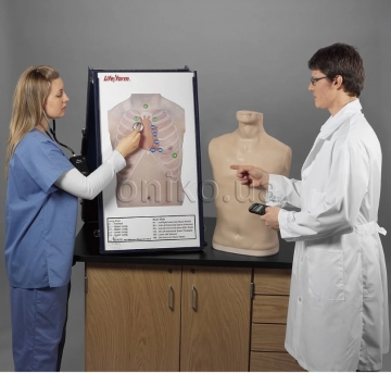 Auscultation Training Station