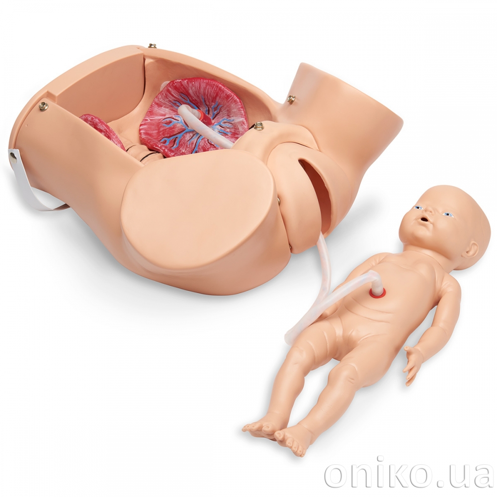 Advanced Childbirth Simulator
